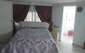 Vila Flory Voronet